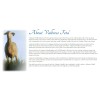 valbreso Sheep's Milk Feta Cheese 21.2oz (600g) each Tin French