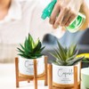 Fumete 12 Pcs Bible Verse Succulent Pots with Tray Drainage,