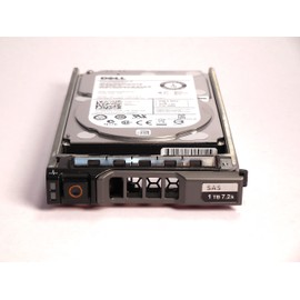 DELL 1TB 7.2K SAS 2.5" 6Gbps HDD Compatible with PowerEdge M610, M610x, M710, M710HD, R320, R420, R610, R710, R715, R810, R815, R820, R910, T610, T710, and PowerVault MD1120, MD1220, MD3220, MD3220i S