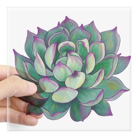 CafePress Succulent Plant Sticker Square Bumper Sticker Car Decal