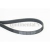Contitech 6PK1130 V-Ribbed Belt