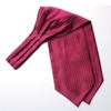 HISDERN Red Cravats for Men Wedding Polka Dot Ascot and