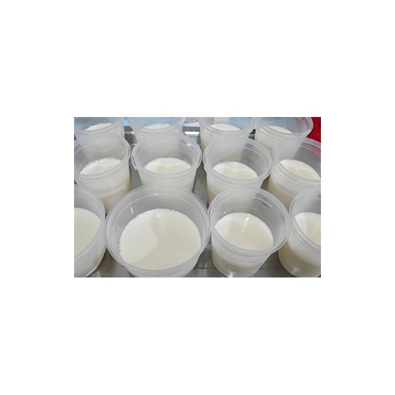 Milk Curd Pudding Agar Dessert Mix Jasmin Flavor For make