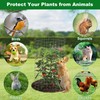 winemana 12 Set Garden Plant Protector Cage, 16x12 in Metal
