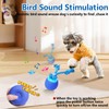 Saolife Interactive Dog Toys with Motion Activated, Squeaky Dog Toy