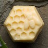 Dark Lavender-Lavender & Patchouli Conditioner Bar with Daikon Seed Extract