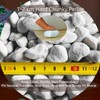 Natural 1-2CM Hard Chunky Perlite 10QT for Plants Horticultural Coarse