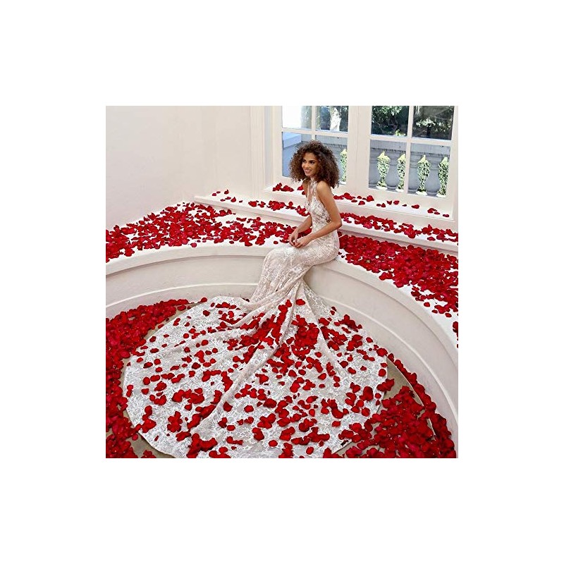 Naler 2000 Pétalos de Rosa de Seda Artificial Rojos para