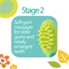 Oral Care Set, 4-Stage System, 0 m+, 4 Piece Set,