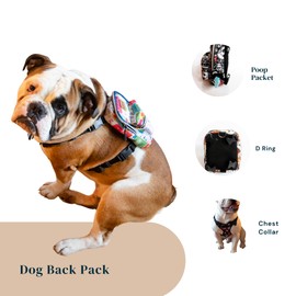 Pawlook Dog Backpack Harness – Street Smart | Waterproof, Adjustable, Breathable – Leash Attachment D-Rings, Poop Bag Pocket – Small & Medium Dogs – 8 Styles Traveller Small