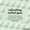 XyloBurst Gum | Xylitol Chewing Gum | Sugar Free, Gluten