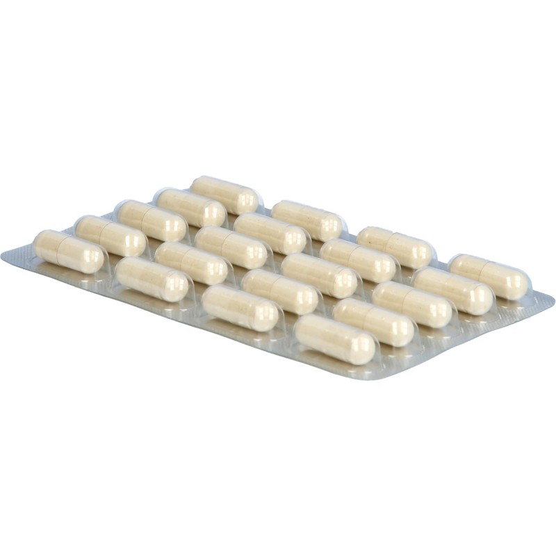 Active Plus 100 Intestinal Flora Pack of 40