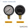 Lumonic I Pressure Gauge 0-6.0 Bar I 1/8 Inch I