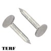 TERF® 10mm X 3mm Galvanised ELH Clout Nails 10mm (3/8'')