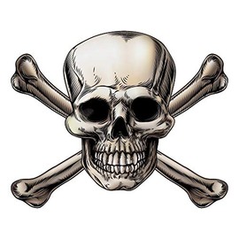 Vinyl Stickers Skull Crossbones Premium Quality Decals Indoor/Outdoor Use for Car Bumper Vehicle Laptop Window & Any Surfaces