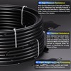 TAILONZ PNEUMATIC Black DOT 3/8 Inch od 10 Meter 32.8ft