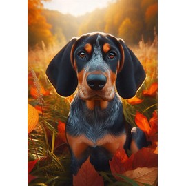 Blue Tick Coonhound - Best of Breed DCR Falling Leaves Garden Flag