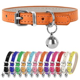 ChengFu XXS Dog Collar Teacup Dog Collars, Orange Dogs Collars, Teacup Dog Collar for Small Dogs Cats, Orange, 3/8 inch Width