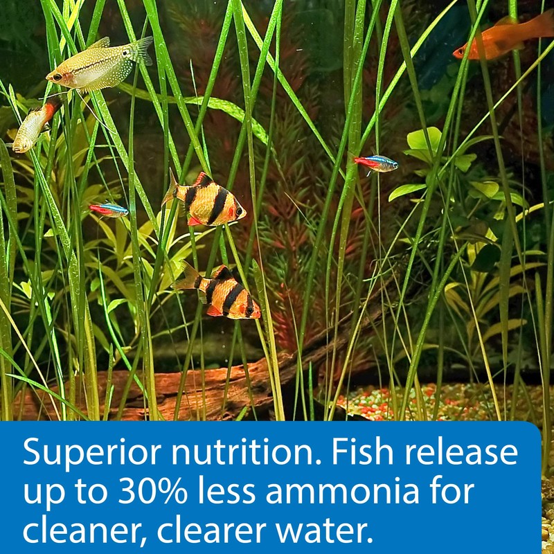 API TROPICAL PELLETS Sinking Pellets Fish Food 4.2-Ounce Container, Medium