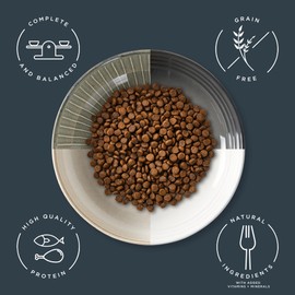 Reveal Natural Dry Kitten Food, High Protein, Grain Free with Added Vitamins & Minerals and DHA, Complete & Balanced Nutrition for Kittens, Chicken Recipe (2.5 Pound Bag)