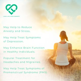 High Strength Ginkgo Biloba Capsules by LLS | 15,000mg 50:1 Extract (from Ginkgo Biloba Leaves) - 60 Servings | No Bulking Agents | Love Life Supplements - 'Clean, Effective, High Quality'