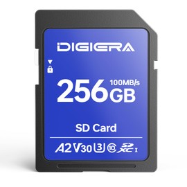 DIGIERA 256GB CS100 SDXC UHS-I Memory Card - up to 100MB/s, C10, U3, V30, 4K UHD, SD Card for Computers, Digital Cameras, Home Theatre Devices, Car Navigation Systems (1 Pack)