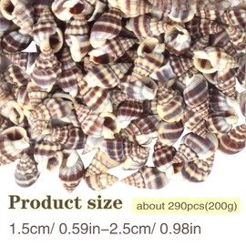 Approx 290pcs(200g) Small Clam Cay Seashells Beach Spiral Sea Shell Mini Natural Conch Shells Crafts Accessories for DIY Fish Tank Vase Fillers Home Wedding Party Decoration