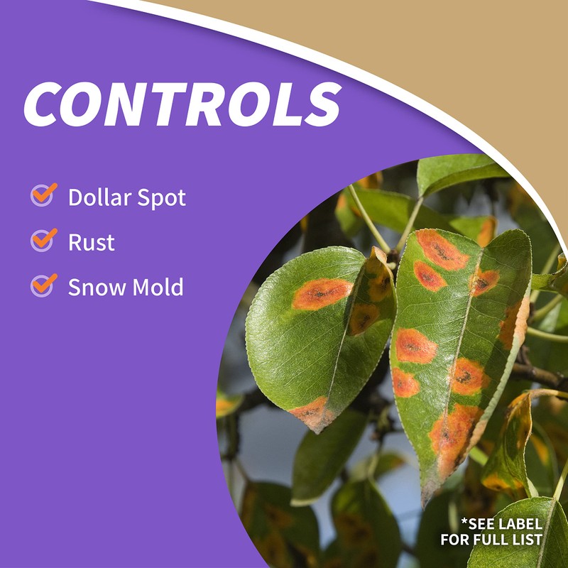 Bonide Captain Jack's Lawnweed Brew, 128 oz Ready-to-Use Spray, Fast-Acting