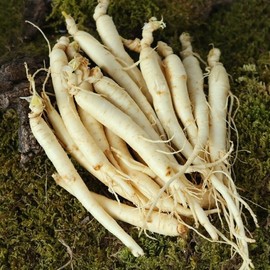 Direct delivery from the producer, Geumsan Golden Farm, washed ginseng (small) for samgyetang/galbitang (small) 700g / 산지직송 금산 황금농장 삼계탕/갈비탕용 세척 인삼(소) 700g