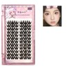 Large capacity eyelash cluster, individual eyelashes, elf false eyelashes, DIY