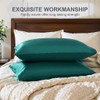 Satin Pillowcase, T Tersely 2 Pack 20"x 30" Silk Satin