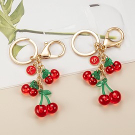 HAISWET Cute Letter S Initial Friendship Keychain for Backpack Red Cherry Purse Charm Key Ring