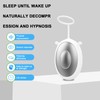Intelligent Micro Current Calming Massage Instrument