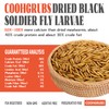 COOHGRUBS Dried Black Soldier Fly Larvae for Chickens, High-Calcium 85X