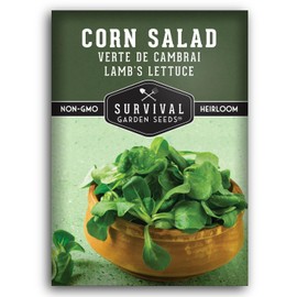 Corn Salad Verte de Cambrai Seeds for Planting - 1 Packet with Instructions to Plant and Grow Lamb's Lettuce or Mache in Your Home Vegetable Garden - Non-GMO, Heirloom Variety - Survival Garden Seeds