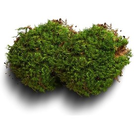 Moss Terrarium Beding Live Moss Terrarium Moss for Reptiles Peat Moss for Reptiles Habitat Bedding Moss for Snakes Turtle Frog Gecko and Other Reptiles Substrate Composite 3
