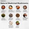 10X Mushroom Complex
