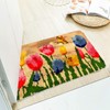 ROCKY&CHAO Latch Hook Rug to Make Yourself, Latch Hook Kit,