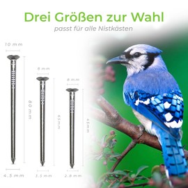 AMZoutdoor® 20 x real aluminium nails for nesting boxes and feeders, tree-friendly nails, aluminium nails, attachment for bird baths and nesting boxes (20, mix: 5 x 80 mm, 5 x 65 mm, 10 x 45 mm)
