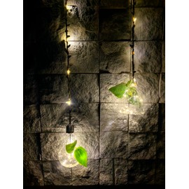 Propagation Stations with Lights Wall Hanging Planter for Indoor Plants Terrarium Container Flower Glass Planter Hydroponic Plants Decor Mini Flower Vase for Home Garden Office Plant Lover Gift