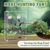 Swirge Chameleon Feeder Box with Suction Cups, Acrylic Feeding Bowl
