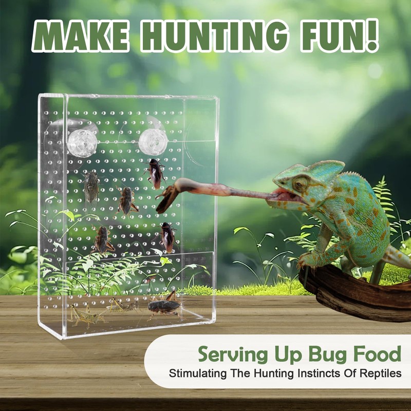 Swirge Chameleon Feeder Box with Suction Cups, Acrylic Feeding Bowl