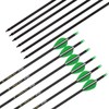 Zhao.Fu 29 Inch Carbon Arrow Practice Hunting Arrows Spine 400
