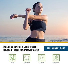 Zellam Are Base Combo Pack