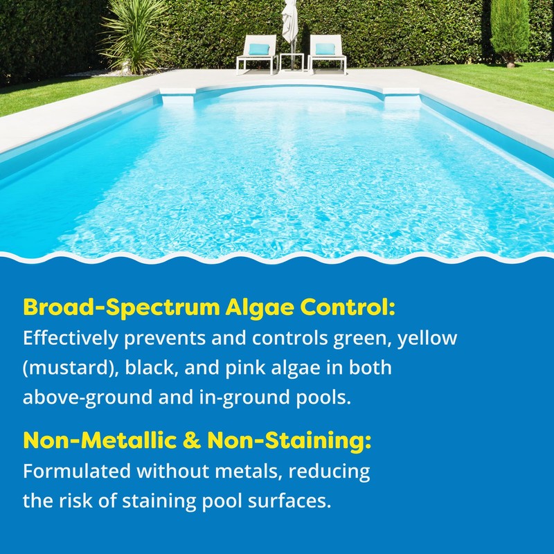 In The Swim Algaecide 60 Plus for Swimming Pools -