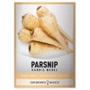 Parsnip Seeds for Planting - Harris Model Heirloom, Non-GMO Vegetable Variety- 1 Gram Approx 200 Seeds Great for Summer, Fall, and Winter Gardens by Gardeners Basics