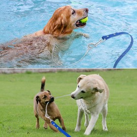 Waterproof Long Dog Leash with Chew Proof Wire Rope,Soft Dog Leashs Training Long line Outdoor for Beach,Yard,Camping(Blue,5m)