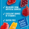 Mott's Fruit Flavored Snacks, Berry and Assorted Fruit, Gluten Free