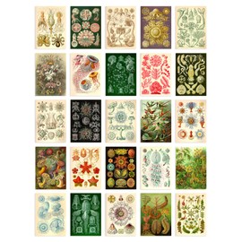Artery8 Botanical Aesthetic Haeckel Colourful Collage Kit Wall Art Prints A6 Set Pack 14.8 x 10.5 cm (5.8 x 4.1 Inches) Bedroom Wall Home Bathroom Pictures Sea Art 50 Pieces