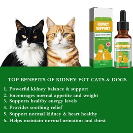 Kidney Support for Dogs & Cats, Natural Kidney Support Herbal Supplement Drops for Dog Cat, 60ML (1PCS)
